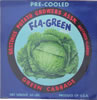 FLA-GREEN