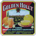 GOLDEN HOLLY