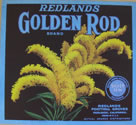 GOLDEN ROD