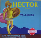 HECTOR