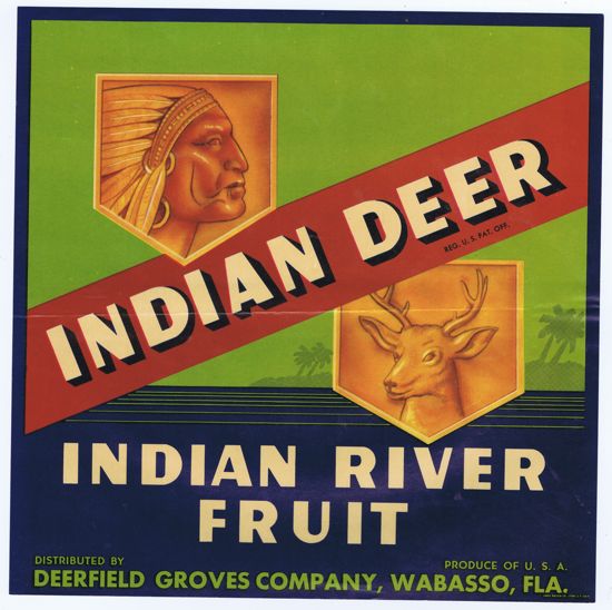 INDIAN DEER