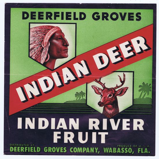 INDIAN DEER