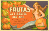 LA SIRENITA DEL MAR