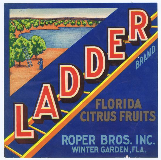 LADDER