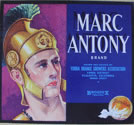 MARC ANTONY