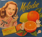 MELODIE
