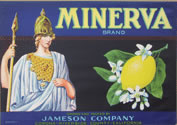 MINERVA