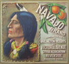 NAVAJO
