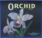 ORCHID