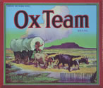 OX TEAM