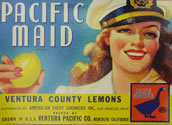 PACIFIC MAID