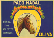 PACO NADAL