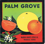 PALM GROVE