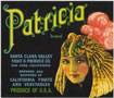 PATRICIA