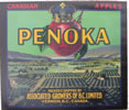 PENOKA