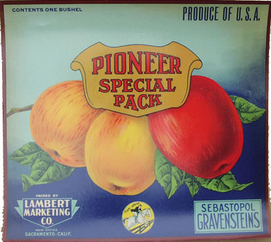 PIONEER SPECIAL PACK