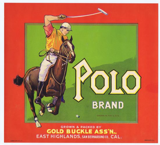 POLO