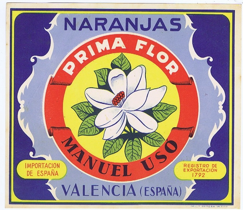 PRIMA FLOR