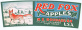 RED FOX BRAND APPLES