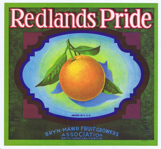 REDLANDS PRIDE