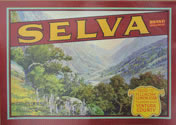 SELVA