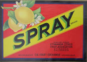 SPRAY