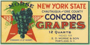 STAR BRAND CONCORD GRAPES