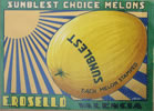 SUNBLEST CHOICE MELONS