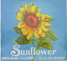 SUNFLOWER modern