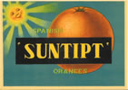 SUNTIPT