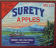 SURETY