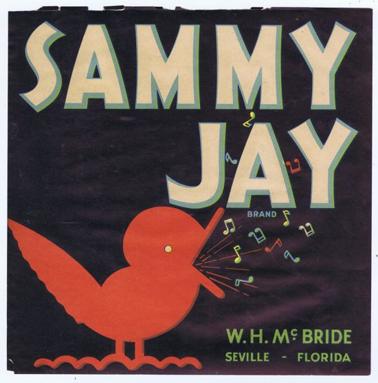 SAMMY JAY