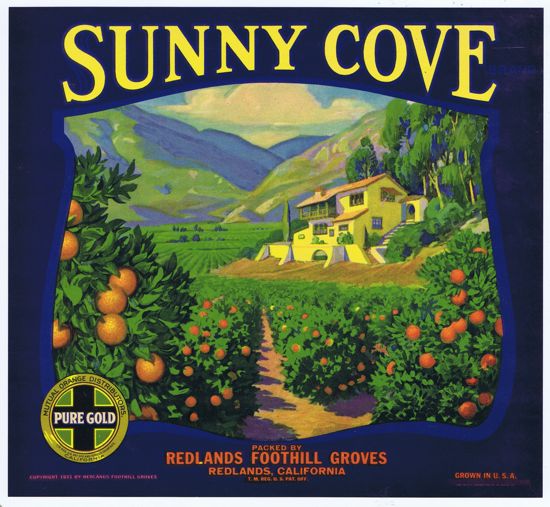 SUNNY COVE