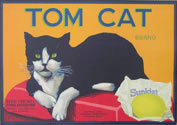 TOM CAT