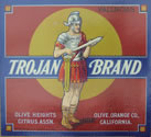 TROJAN