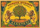 VICENTE HURTADO