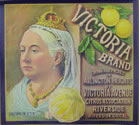 VICTORIA GRAPEFRUIT