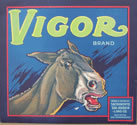 VIGOR