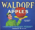 WALDORF APPLES