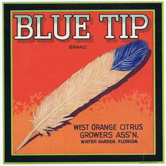 BLUE-TIP