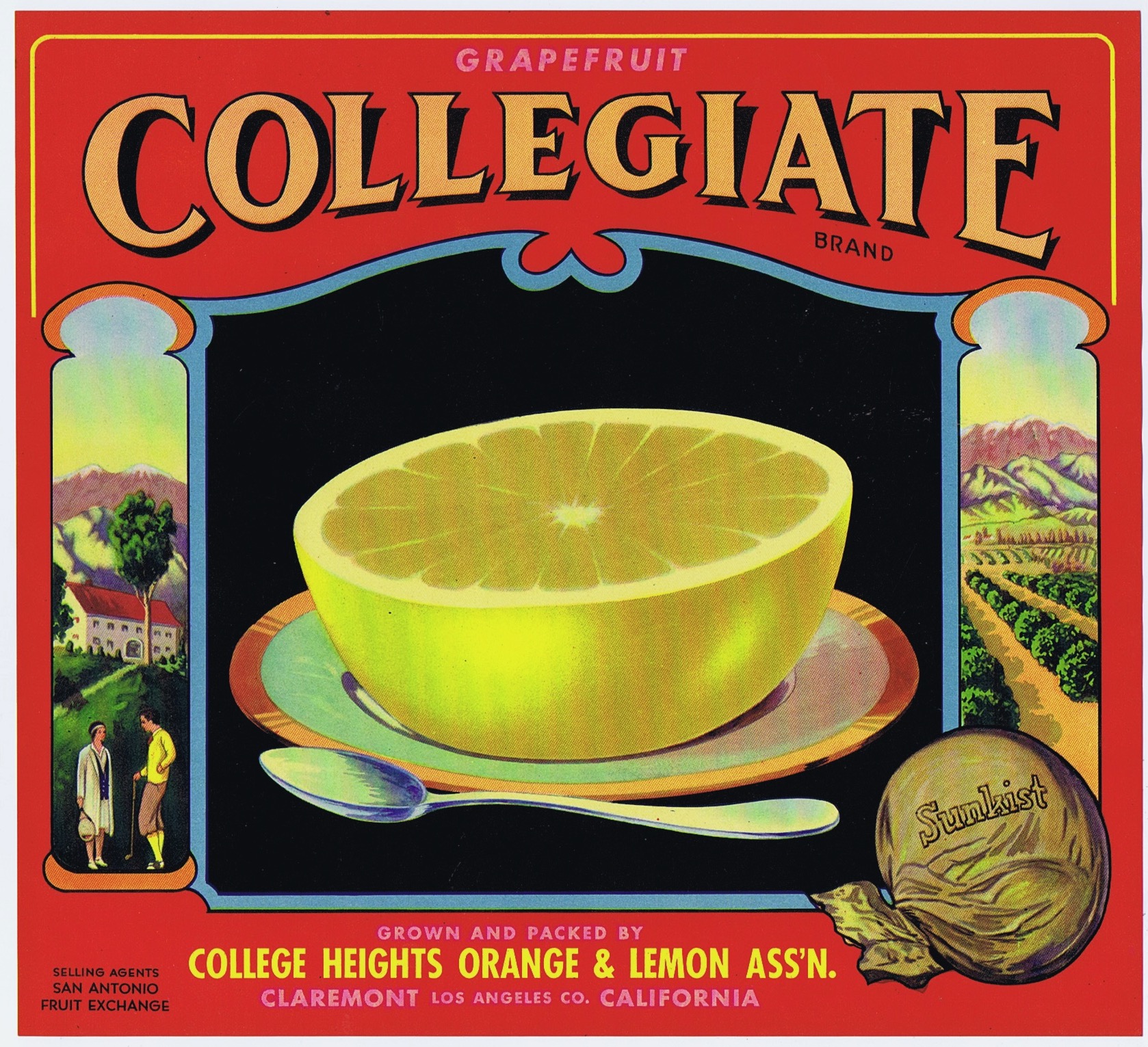 COLLEGIATE