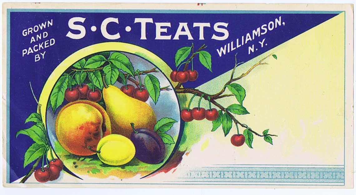 S.C.TEATS