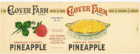 CLOVER FARMS CRUSHED HAWAIIAN PINEAPPLE