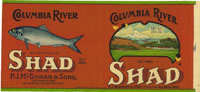 COLUMBIA RIVER SHAD