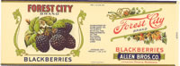 FOREST CITY BLACKBERRIES