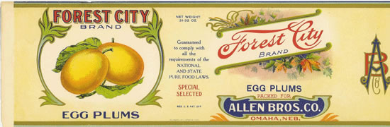 FOREST CITY EGG PLUMS