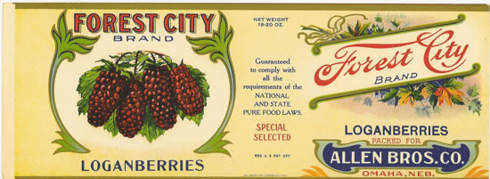 FOREST CITY LOGANBERRIES*