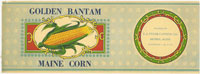 GOLDEN BANTAM MAIN CORN