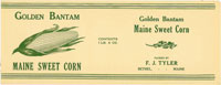 GOLDEN BANTAM MAIN SWEET CORN