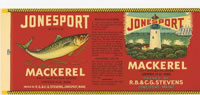 JONESPORT MACKEREL